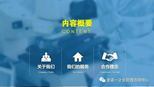 企業(yè)人員管理項目咨詢與信息技術咨詢服務 金諾一企業(yè)管理咨詢中心介紹